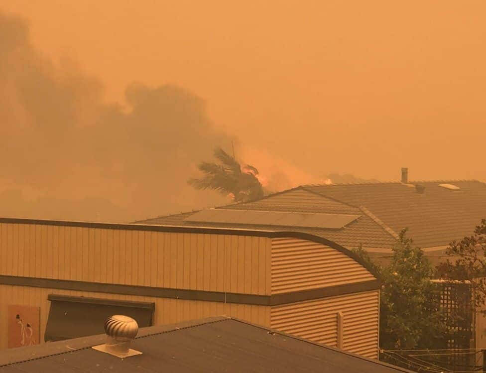 2019-20 bushfires victoria