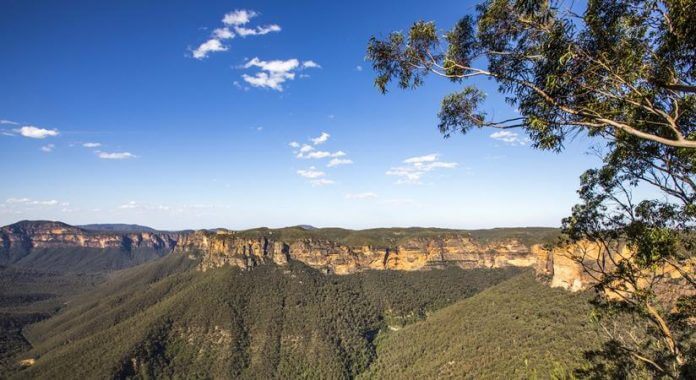 Virtua; travel to the scenic beauty of NSW