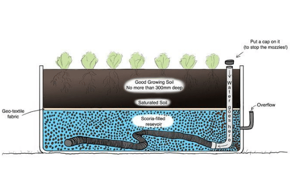 Diagram of a wicking bed. (Image supplied)