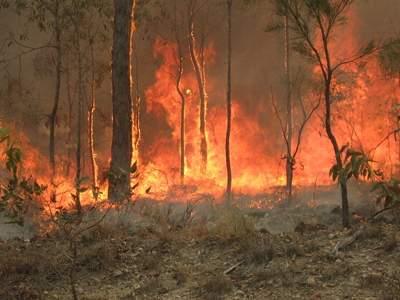 2019-20 bushfires queensland