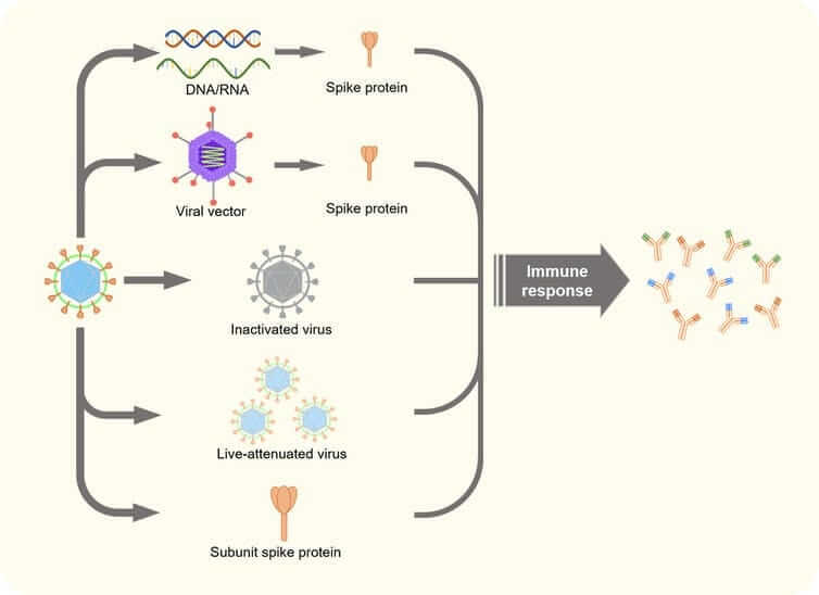 five technologies for covid vaccine