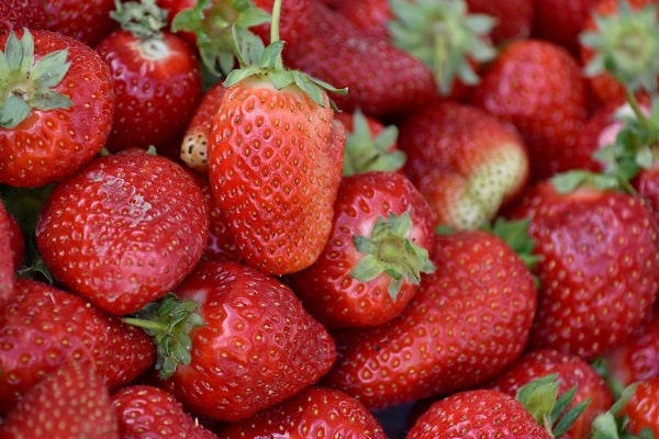 jhansi strawberries