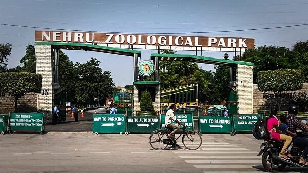 The Nehru Zoological Park in Hyderabad. 