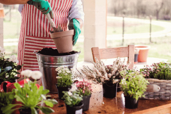 Creating your own home made garden