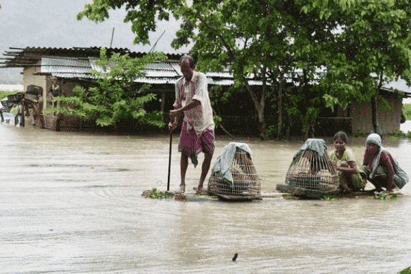 Assam floods. Source: Twitter