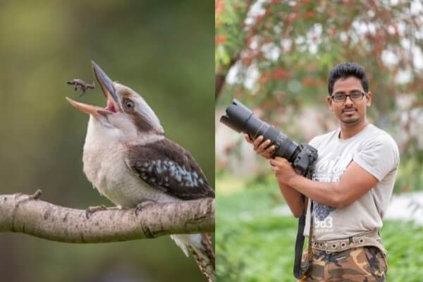 Photographer Naidu Kumpatla and his shot of a Laughing Kookaburra tossing her catch. Images supplied