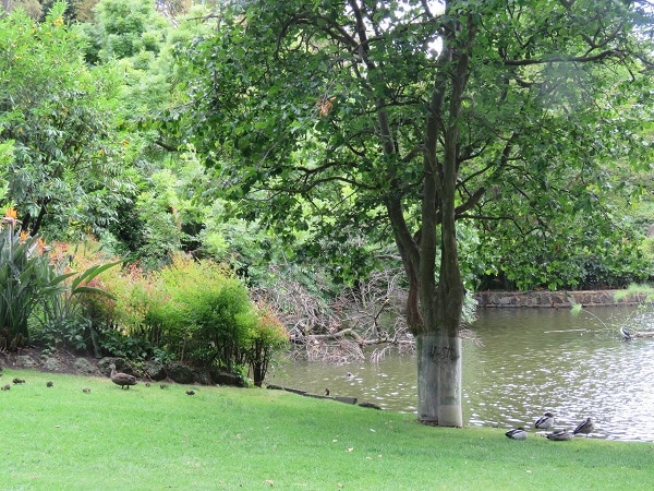 Melbourne's best-known urban park, Fitzroy Gardens
