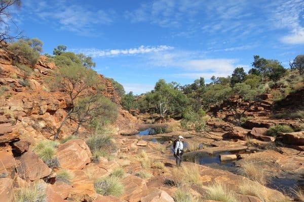 Tourist taking in the natural view in Australia's Red Centre