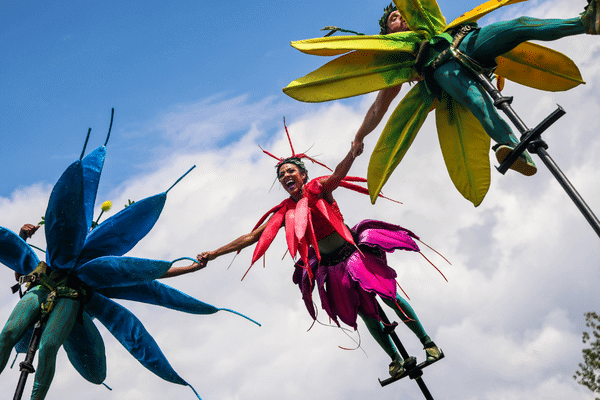Ballarat Begonia festival