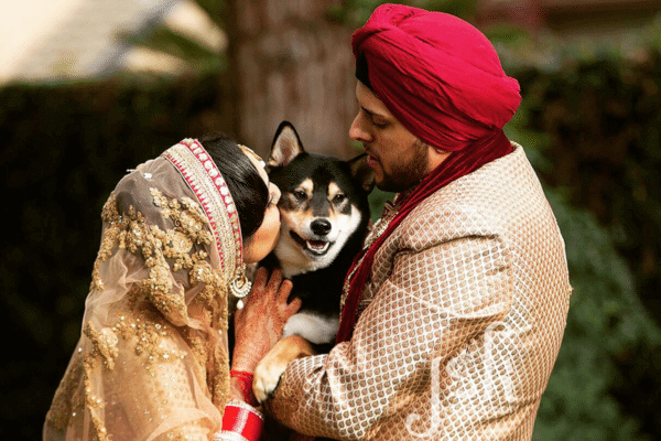 Indian couple with pet at wedding