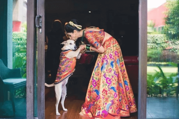 Bride with her pet at Indian wedding