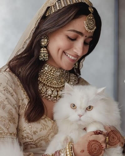Alia Bhatt with her cat at her wedding