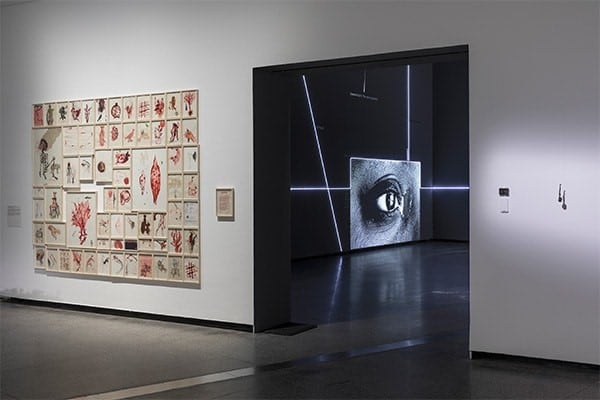 A corner view of the ACCA gallery, where a giant eye and a series of red framed paintings are visible.