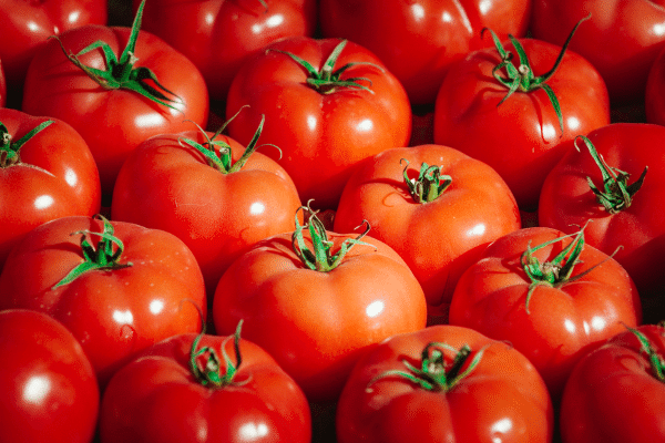 rising cost of tomatoes in india