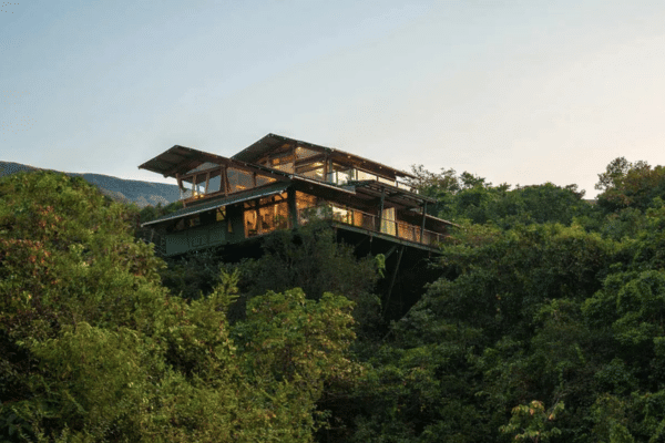 Treehouse Resort