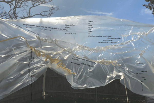 Ritika Skand Vohra's 'felt-stitching' on dissolvable fabric 