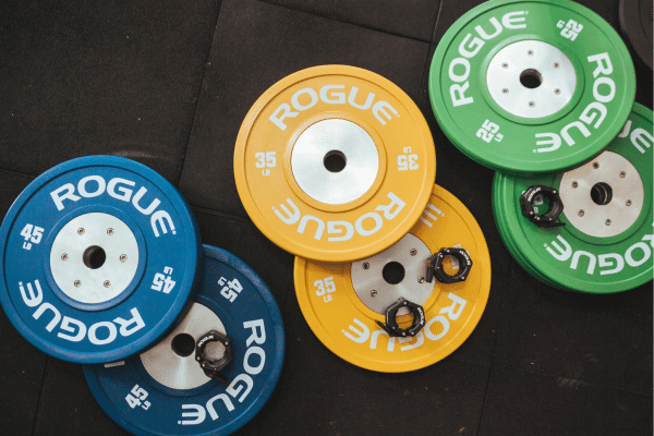 Multi-coloured weight plates