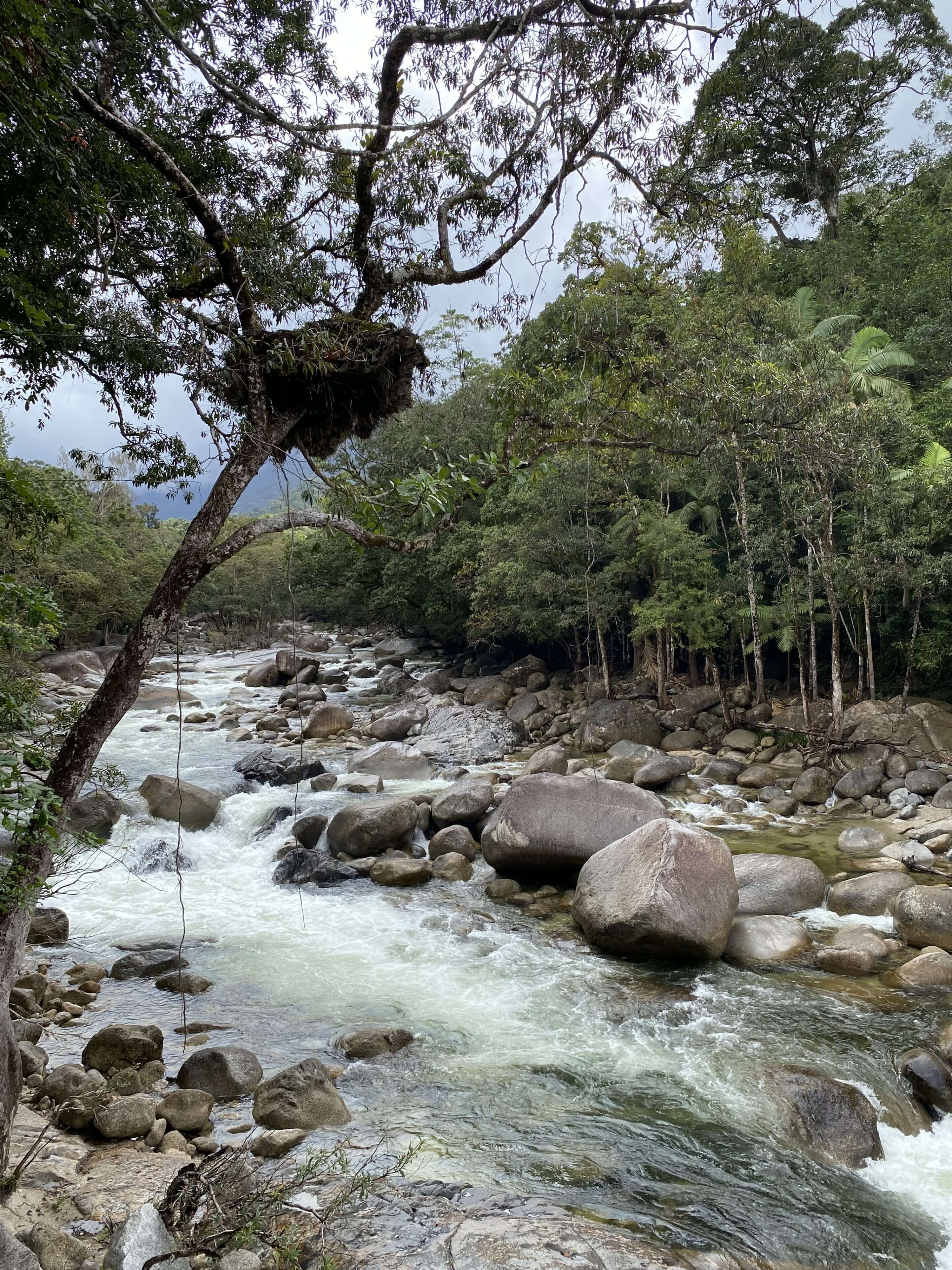 Port Douglas