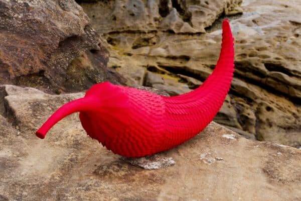 Red chilli - selected for Sculpture by the Sea exhibit in 2012