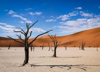 things to do in namib desert