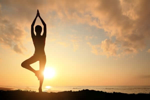 International Yoga Day