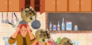 kitchen cabinet chaos