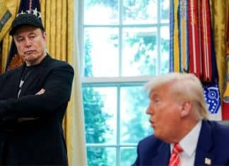 Trump and Musk
