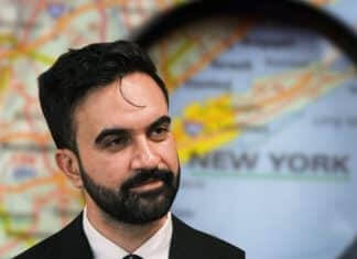 Mamdani