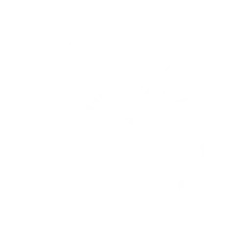 Indian Link Logo