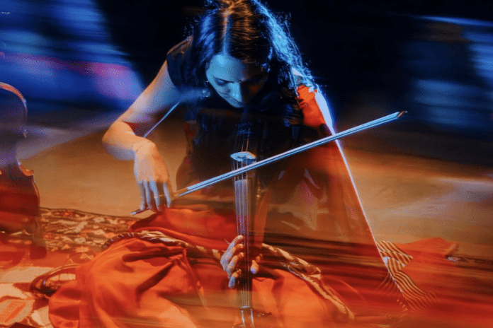 Bhairavi Raman's violin