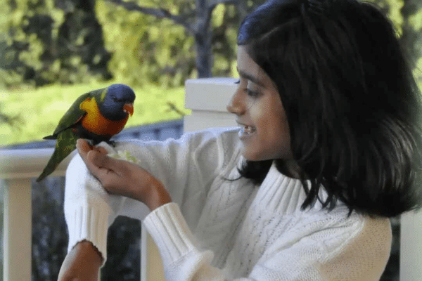 Mukta Gilda bird feeding lorikeets