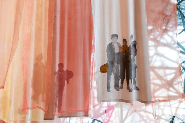 sangeeta sandrasegar italian migrant flowerboys