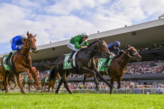 sydney autumn raceing