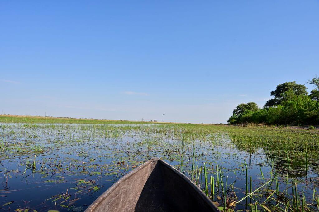 Solo travel Botswana