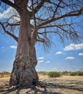 Botswana solo travel