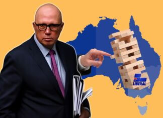 Liberal party's electoral decline