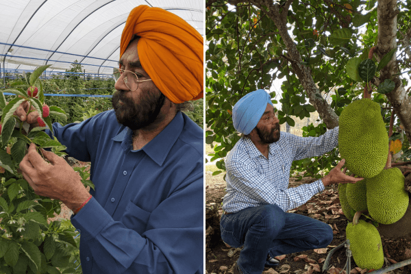Prof Zora Singh