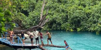 Vanuatu: More than a tropical getaway Vanuatu More than a tropical getaway