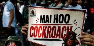 India’s youth‑led Cockroach party may prove as hard to kill as its namesake cockroach janta party protests