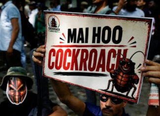 India’s youth‑led Cockroach party may prove as hard to kill as its namesake cockroach janta party protests