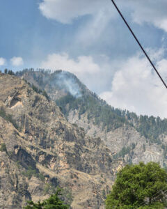 Chir-pine wildfire india