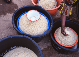 rice market