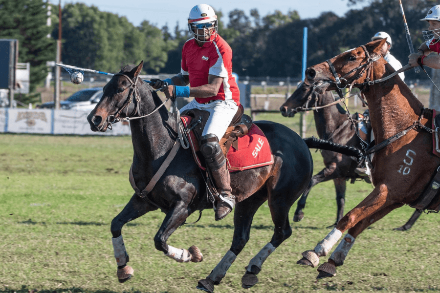 polocrosse