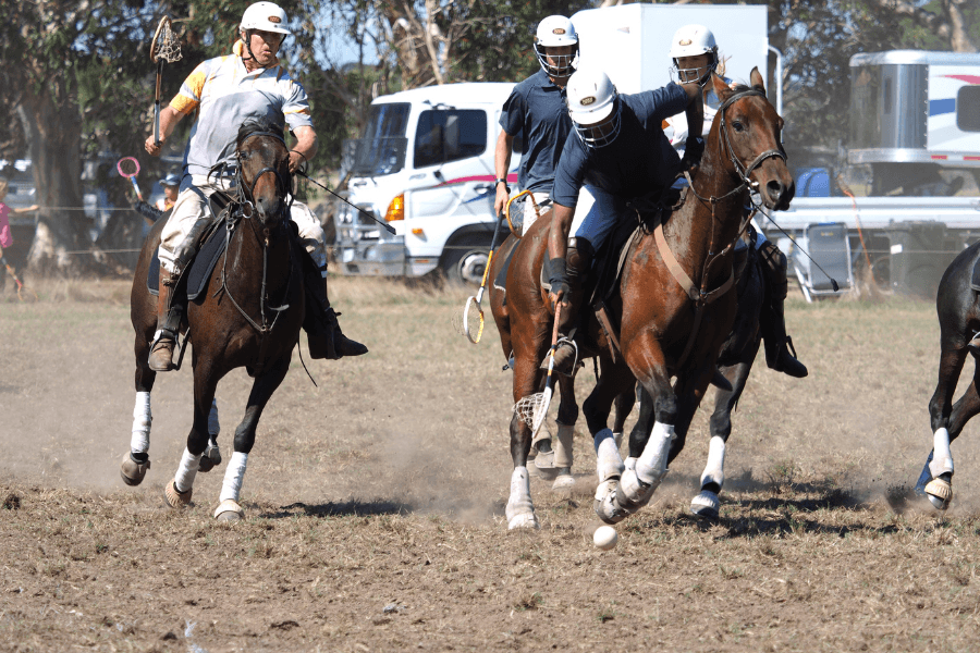 polocrosse