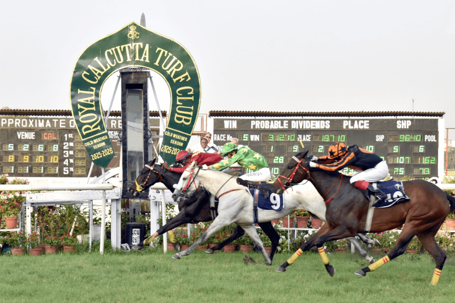 Melbourne Cup Calcutta