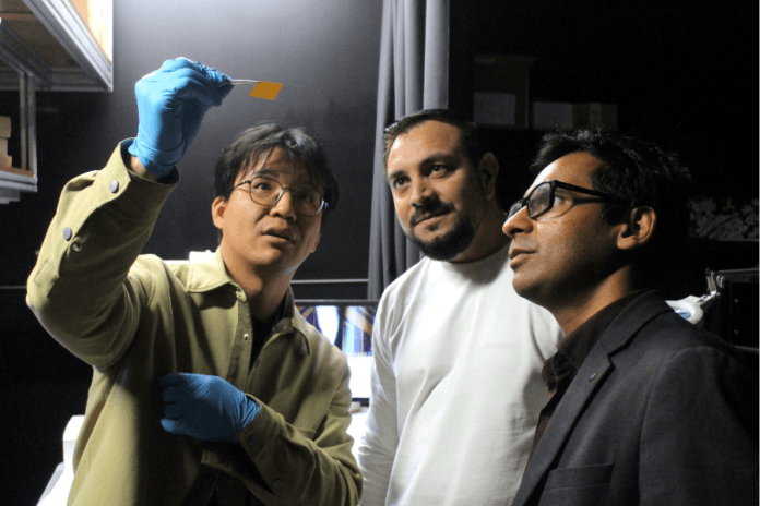 vision chip bionic eye