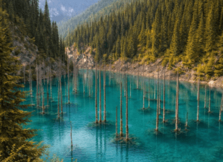Discovering Kazakhstan’s wild heart