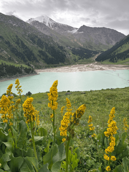kazakhstan